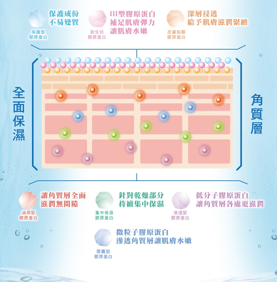 7種膠原蛋白保護成分不易變質，補足肌膚彈力，給予肌膚深層滋潤緊緻，滲透角質深層無間隙，持續集中水潤緊緻