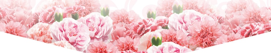 簡單對抗乾燥，年齡肌